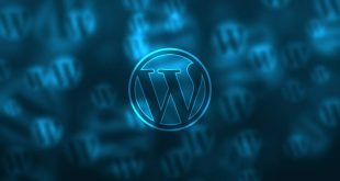 How To Disable Sitemap In WordPress