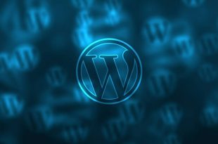 How To Disable Sitemap In WordPress