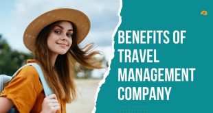 Benefits of Using a Travel Management Company