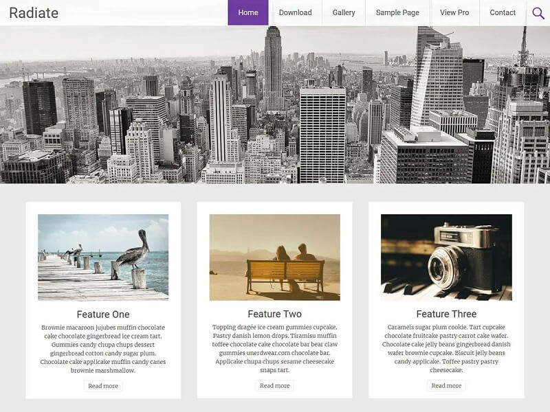 Radiate: Free Creative WordPress Themes