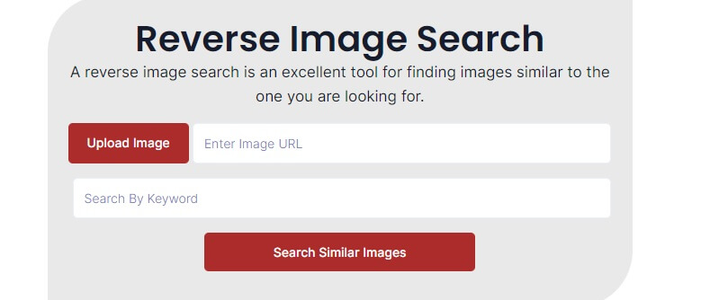 Reverse Image Search