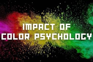 Impact of Color Psychology