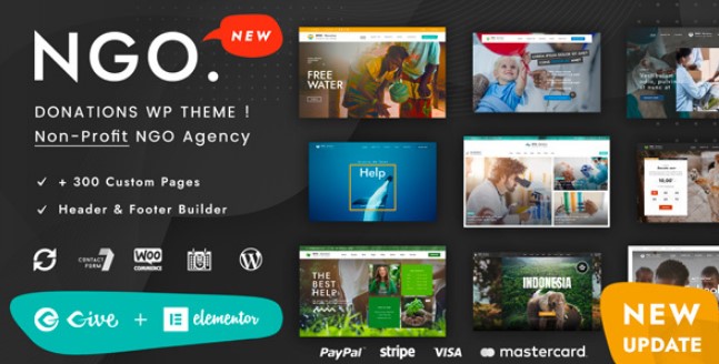 Ngo Charity Donation WordPress