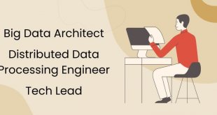 Big Data Architect, “Distributed Data Processing Engineer”, and Tech Lead