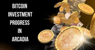 Bitcoin Investment Progress