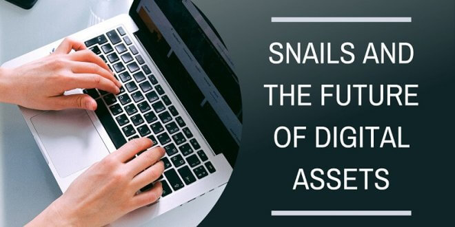 SNAILS and the Future of Digital Assets