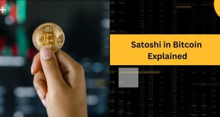 Satoshi in Bitcoin Explained