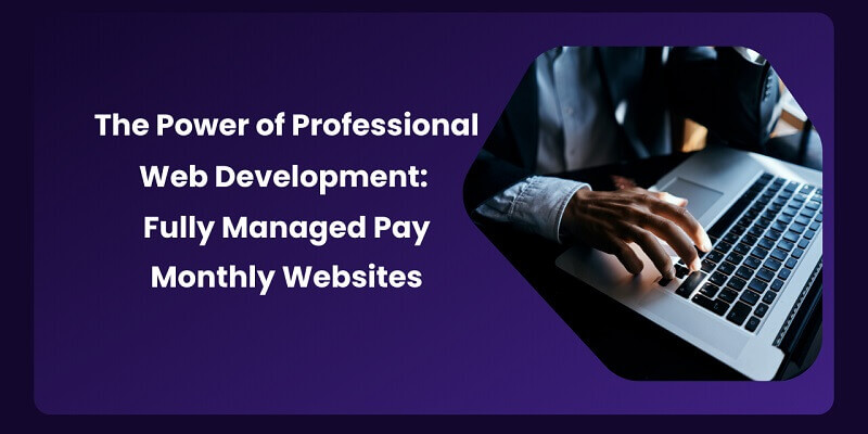 Professional Web Development