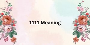 1111 Meaning
