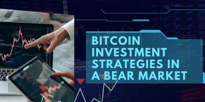 Bitcoin Investment Strategies in a Bear Market