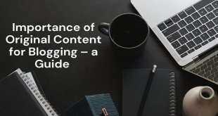 Importance of Original Content for Blogging