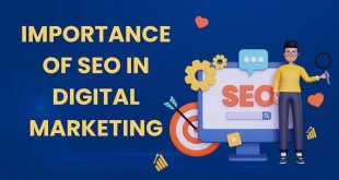 Importance of SEO in Digital Marketing