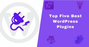 Top Five Best WordPress Plugins
