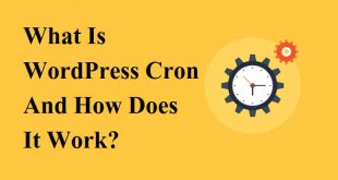 What Is WordPress Cron