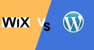 Wix VS WordPess
