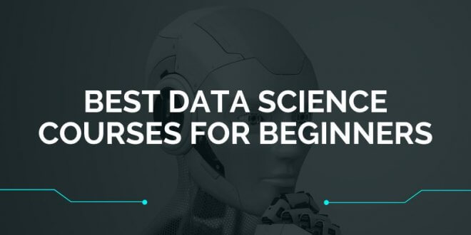Best Data Science Courses For Beginners