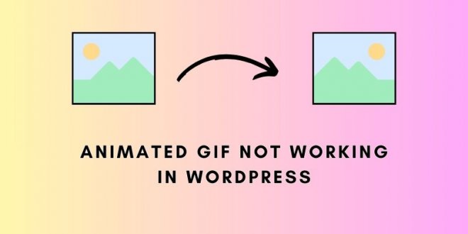 Animated GIF Not Working in WordPress