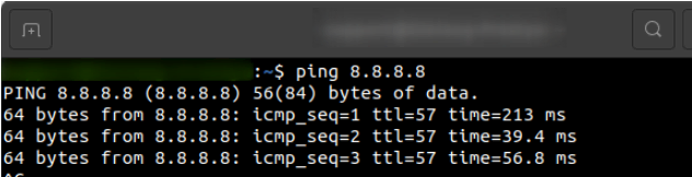 Running-the-ping-command-using-Terminal-on-Ubuntu