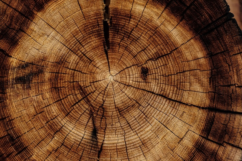 Natural Solutions for Wood Maintenance and Shine
