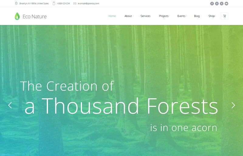 Eco Nature: Green WordPress Theme