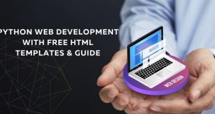 python web development