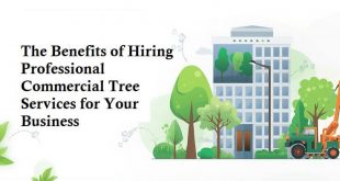 Benefits of Hiring Professional Commercial Tree Services