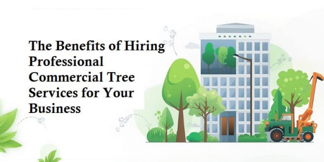 Benefits of Hiring Professional Commercial Tree Services