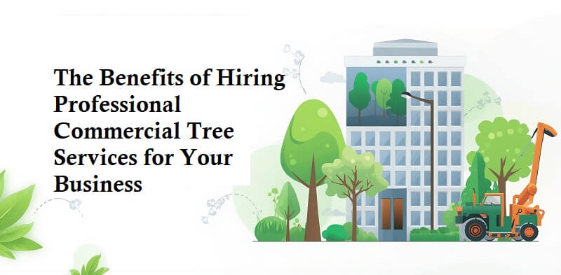 Benefits of Hiring Professional Commercial Tree Services