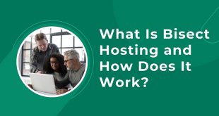 Bisect Hosting
