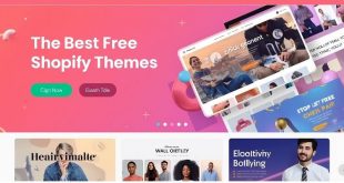 Free Shopify Themes
