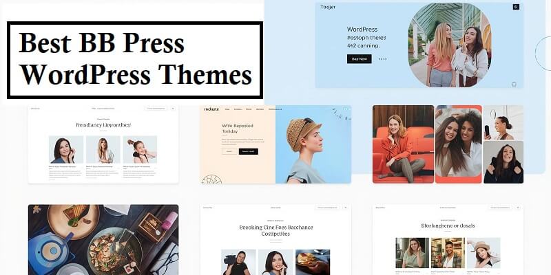 Best BB Press WordPress Themes