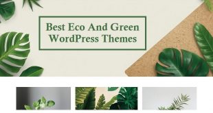 Green WordPress Themes