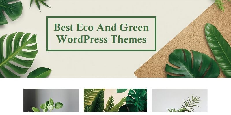 Green WordPress Themes