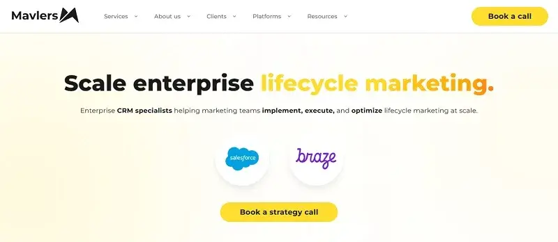Mavlers: Web Development Companies in USA